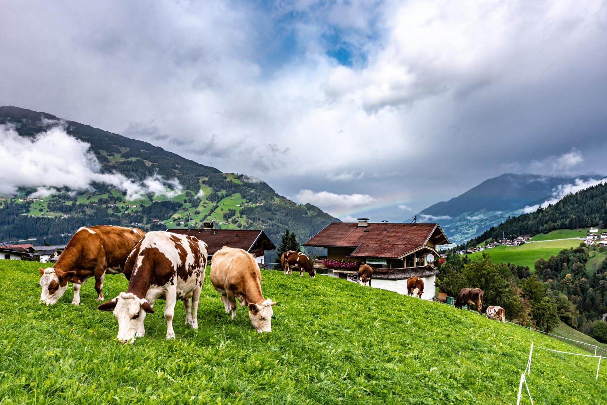 Ferienwohnung Ausblick Zillertal Hainzenberg Exterior photo